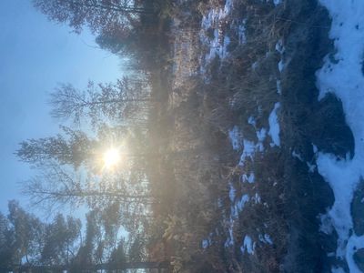 1003 E Greenwood Rd, Alger, MI, 48610