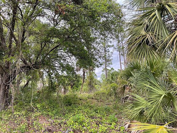 5th image of LOT 15 Ananas Rd