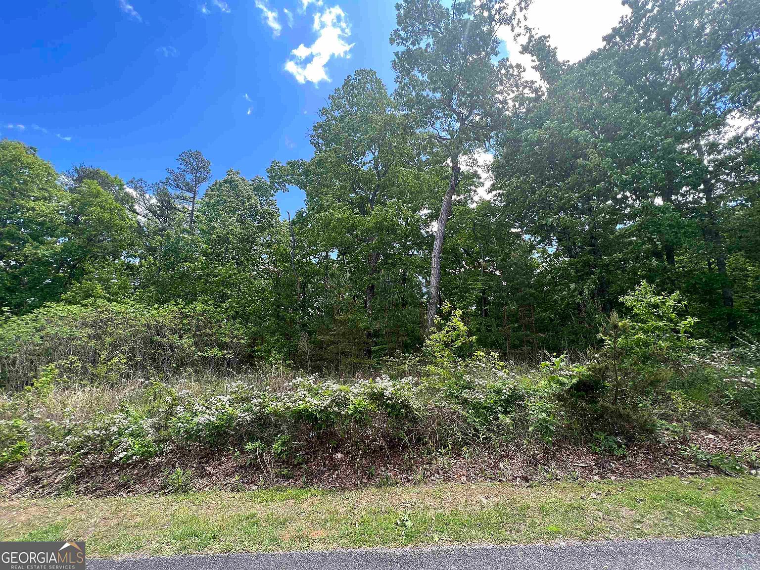 55 Teel Mountain Dr, Cleveland, GA 30528 MLS 20163402 Zillow