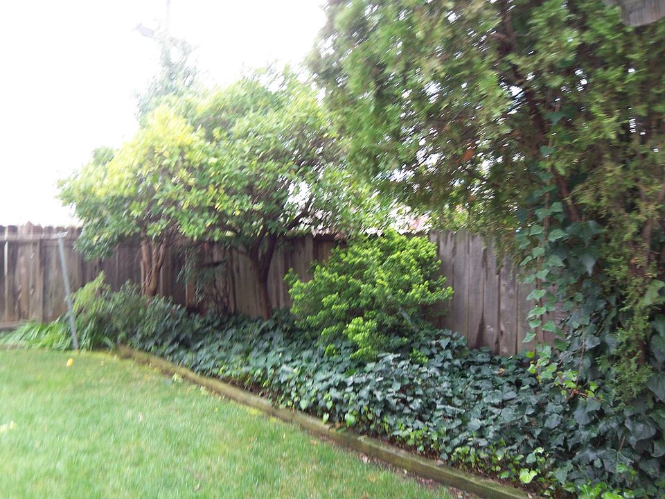 2nd image of 801 Meadowlark Dr