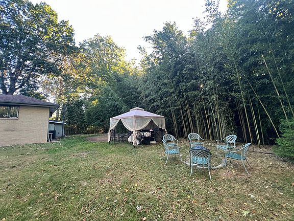 Side yard view