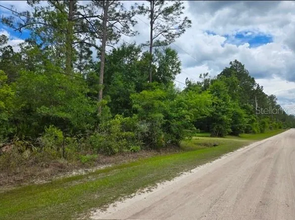 1747 CANDLEBERRY STREET LOT 11, BUNNELL, FL 32110