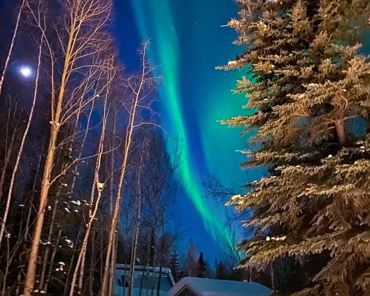 Aurora from the front yard looking towards shed
