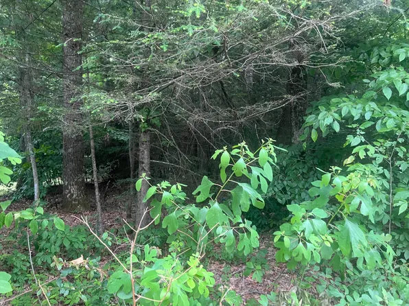 0 Jefferson St, Fayetteville, WV 25840