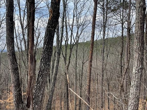2nd image of 246 Rock Creek Rd Lot 6