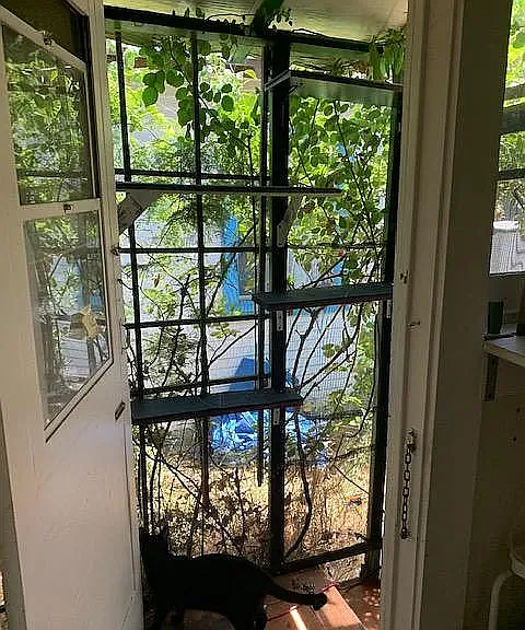 608 E Angeleno Ave — Photo 18