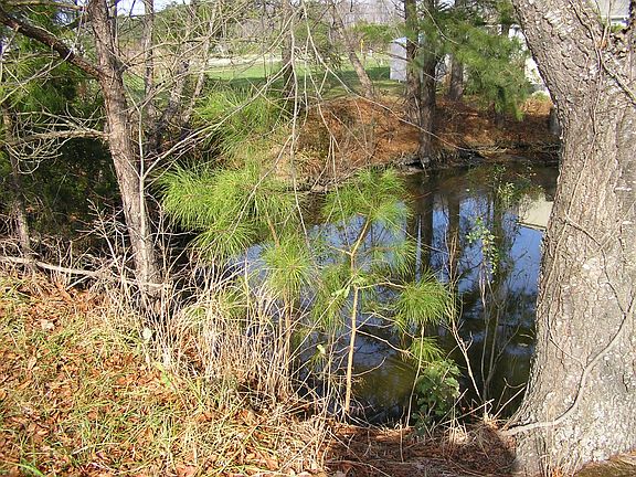 2nd image of Dixie Dr