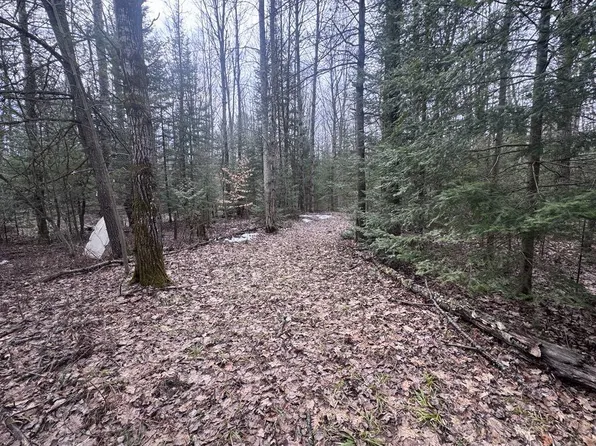16651 County Road 628, Hillman, MI 49746