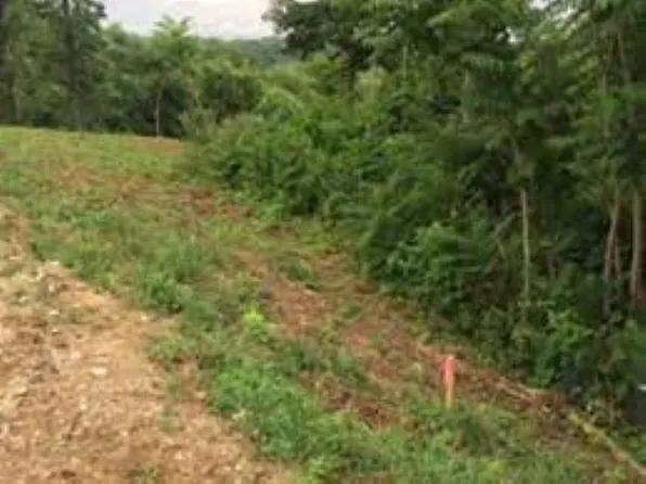 1 Chestnut Hills Rd #2, Burkesville, KY 42717