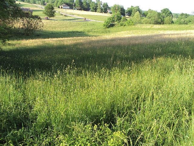 2nd image of 42 Old Highway 52