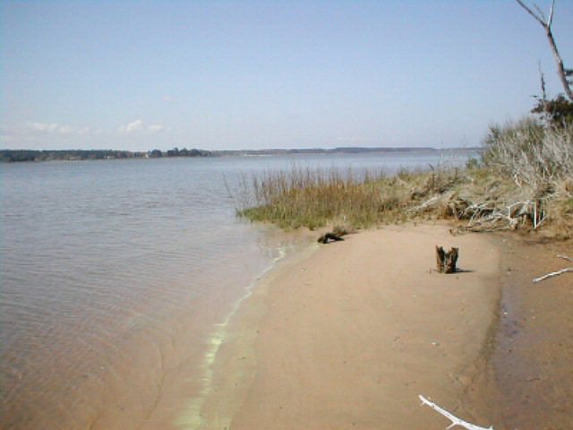 1st image of 0 Holly Shores Ln