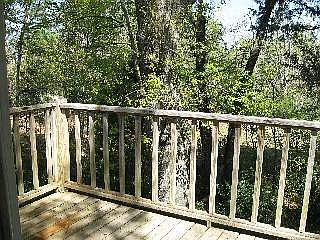 Peaceful view from the back deck.