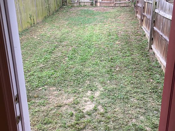 Back yard