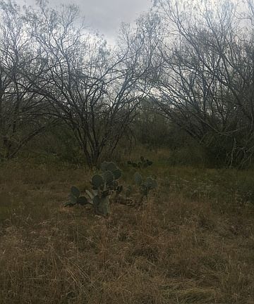 2nd image of TBD Hwy 173