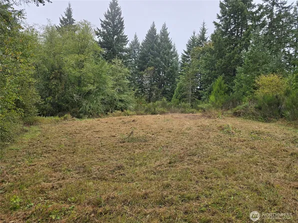 13332 Reeder Road SW, Maytown, WA 98589