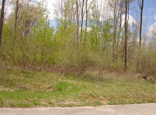 6880 Buck Run #4, Spruce, MI 48762