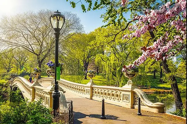 Sold by New York Home Real Estate Services | media 13