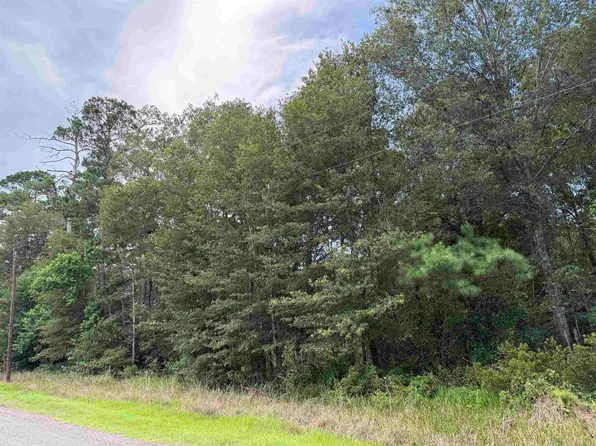 1885 Bobcat Cir, Orange, TX 77632