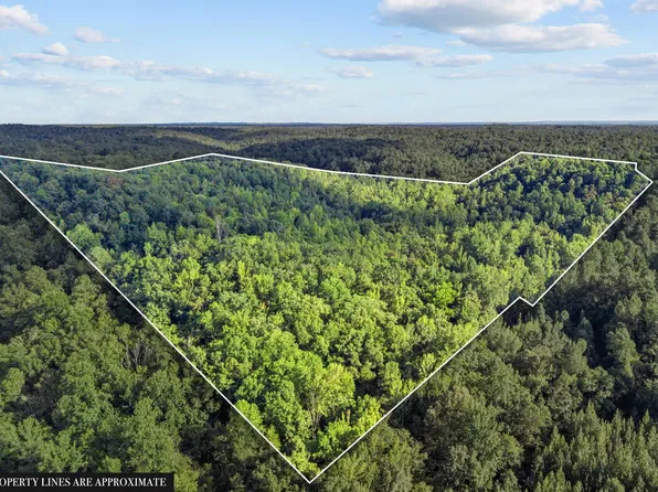 107 Possum Trot Ln, Linden, TN 37096