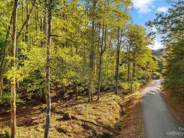 110 Gaither Ray Dr, Mars Hill, NC 28754