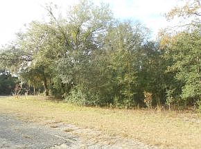 1st image of 10536 N Umber Ter