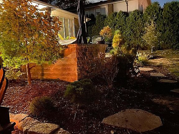 backyard view from firepit