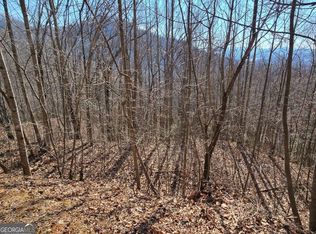 11 High Meadows Dr, Hayesville, NC 28904