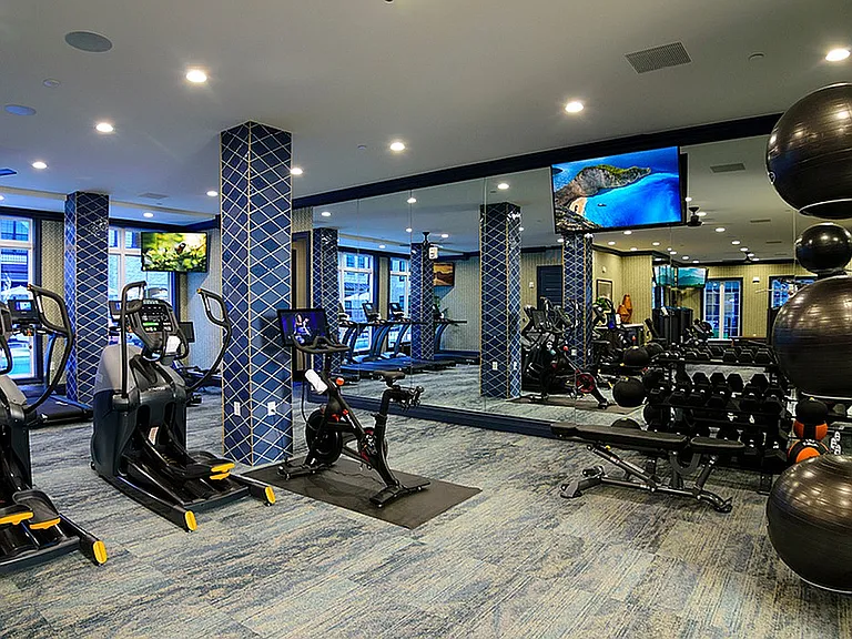 Fitness1