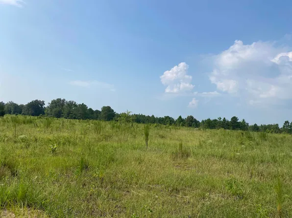 245 Pace Rd, Cochran, GA 31014