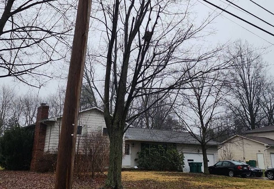 2nd image of 7421 Demshar Dr