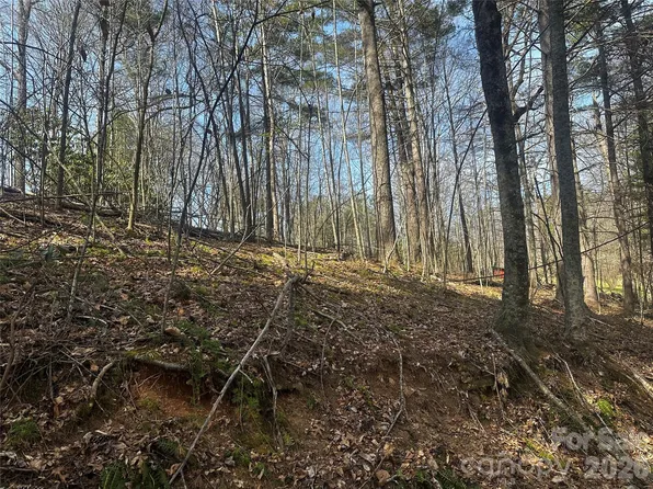 0 Saw Mill Hollow Rd, Burnsville, NC 28714