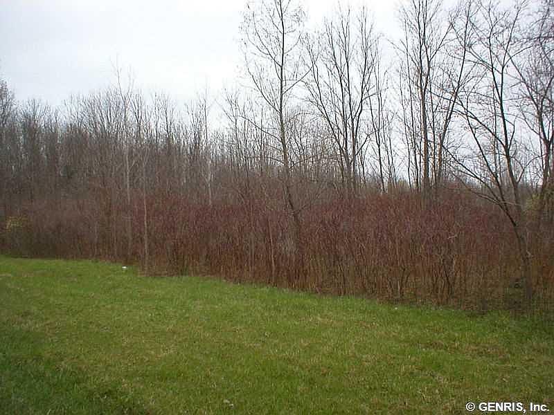 1511 Plank Rd, Walworth, NY 14568 Zillow