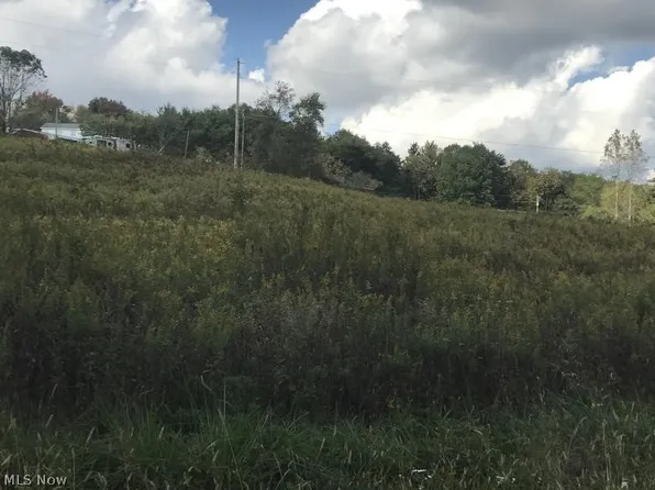 New Riley Rd, Dresden, OH 43821
