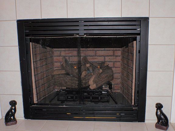 Gas fireplace in living room