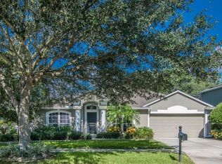 616 Berry Bramble Dr, Brandon, FL 33510
