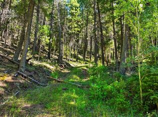 13446 S Firedog Way, Larkspur, CO 80118