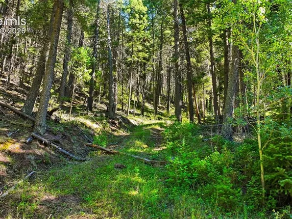 13446 S Firedog Way, Larkspur, CO 80118