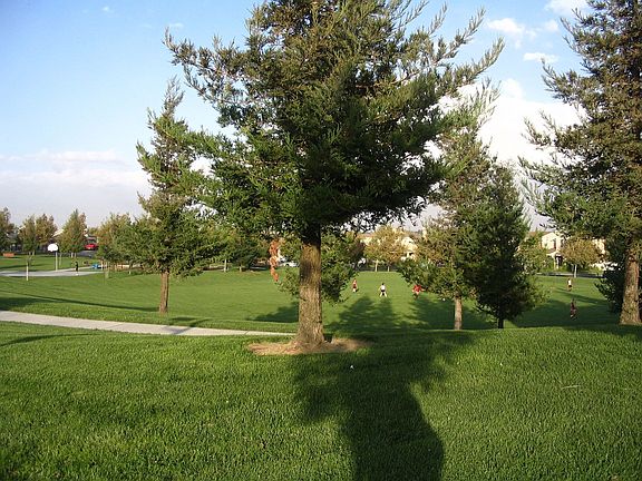 park just to left of house