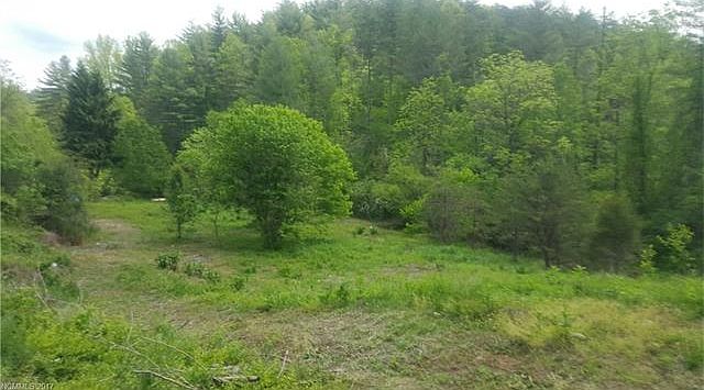 1st image of 000 Old Burnsville Rd