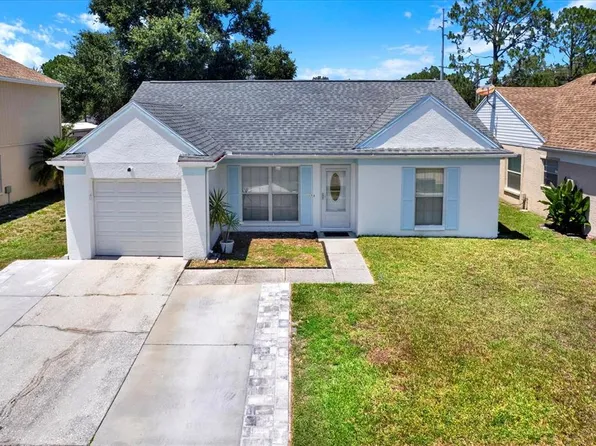 4307 Shadberry Dr, Tampa, FL 33624