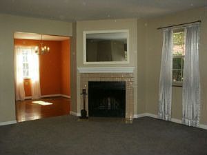 Log Fireplace