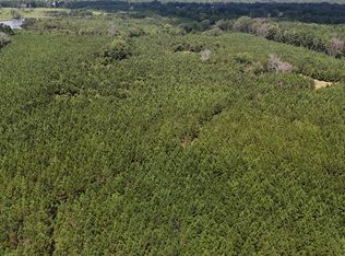 291 Permenter Rd, Camden, MS 39045