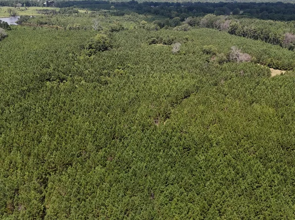 291 Permenter Rd, Camden, MS 39045