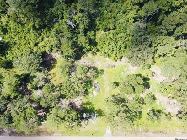 31483 State Highway 1036, Holden, LA 70744