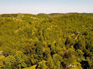 1105 Palmer Hollow Rd, Bybee, TN 37713