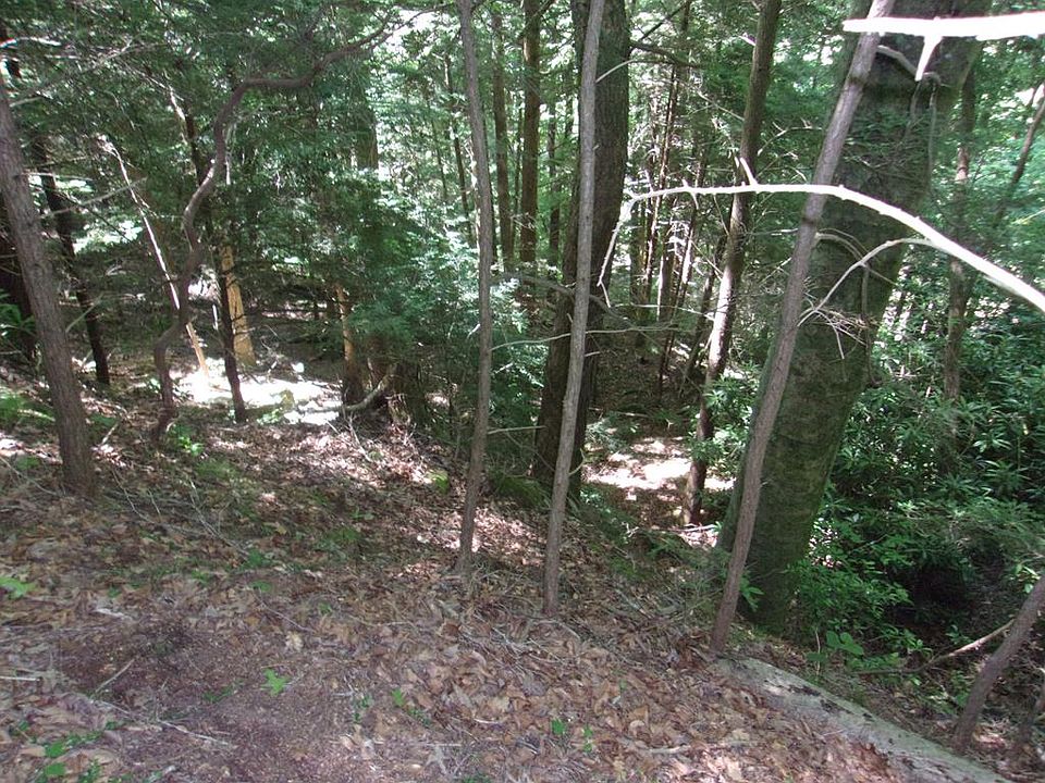 1st image of 5037 Wolf Branch Ln