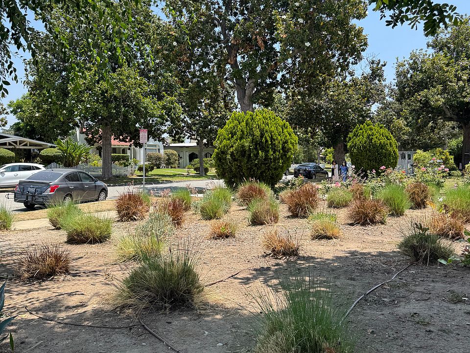 Front yard