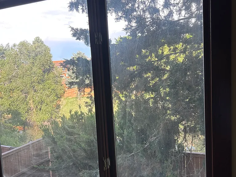 Dining room view