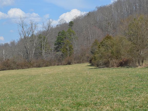 5th image of 999-1640 Muncy Fork Rd