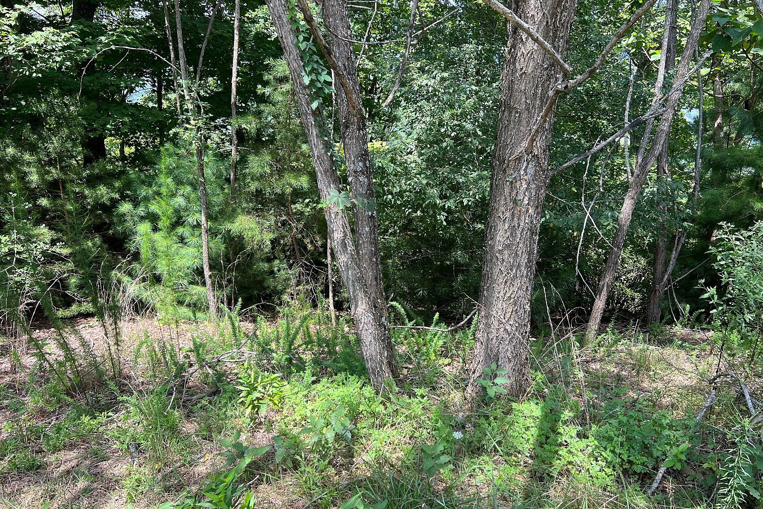 LOT 59 Fires Creek Rd, Hayesville, NC 28904 | MLS #324615 | Zillow